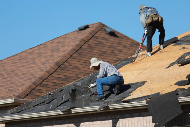 Best Sheet Metal Roofing  in Livingston, MT